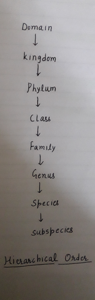 Domain kingdom Phylum Class Family enus Species Subspecies Hierarchical Order