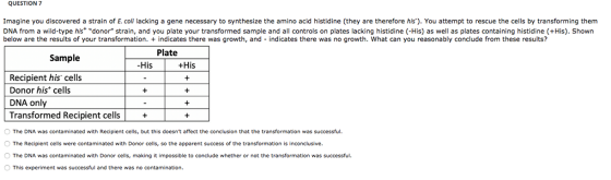 QUESTION 7 Imagine you discovered a strain of E. coli lacking a gene necessary to synthesize the amino acid histidine (they a