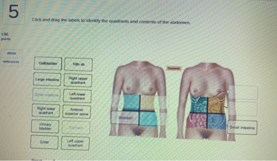 5 Click and drag the labels to identify the quadrants and contents of the abdomen. 196 points eBook References Gallbladder 10