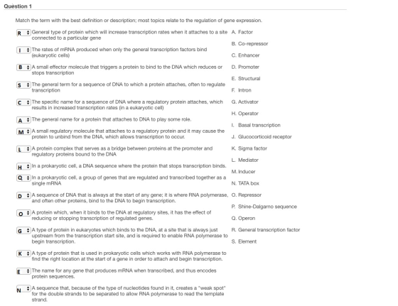 Question 1 Match the term with the best definition or description; most topics relate to the regulation of gene expression. General type of protein which will increase transcription rates when it attaches to a site connected to a particular gene A. Factor B. Co-repressor C. Enhancer D. Promoter E. Structural R I #1 The rates of mRNA produced when only the general transcription factors bind eukaryotic cells) B tA small effector molecule that triggers a protein to bind to the DNA which reduces or stops transcription latntron The general term for a sequence of DNA to which a protein attaches, often to regulate transcription S The specific name for a sequence of DNA where a regulatory protein attaches, which results in increased transcription rates (in a eukaryotic cell) G. Activator H. Operator I. Basal transcription J. Glucocorticoid receptor K. Sigma factor L. Mediator M. Inducer N. TATA box C A The general name for a protein that attaches to DNA to play some role M A small regulatory molecule that attaches to a regulatory protein and it may cause the protein to unbind from the DNA, which allows transcription to occur. A protein complex that serves as a bridge between proteins at the promoter and regulatory proteins bound to the DNA *In a prokaryotic cell, a DNA sequence where the protein that stops transcription binds Q na prokaryotic cell, a group of genes that are regulated and transcribed together as a single mRNA and often other proteins, bind to the DNA to begin transcription. reducing or stopping transcription of regulated genes. D A sequence of DNA that is always at the start of any gene; it is where RNA polymerase, O. Repressor Shine-Dalgarno sequence Q. Operon R. General transcription factor S. Element O A protein which, when it binds to the DNA at regulatory sites, it has the effect of G $A type of protein in eukaryotes which binds to the DNA, at a site that is always just upstream from the transcription start site, and is required to enable RNA polymerase to begin transcription. K # A type of protein that is used in prokaryotic cells which works with RNA polymerase to find the right location at the start of a gene in order to attach and begin transcription. E # The name for any gene that produces mRNA when transcribed, and thus encodes protein sequences A sequence that, because of the type of nucleotides found in it, creates a weak spot for the double strands to be separated to allow RNA polymerase to read the template strand. N