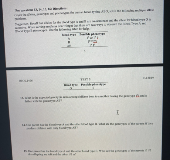 For questions 13, 14, 15, 16: Directions: Given the alleles, genotypes and phenotypes for human blood typing ABO, solve the f