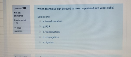 Question 20 Which technique can be used to insert a plasmid into yeast cells? Not yet answered Points out of 1.00 Select one: