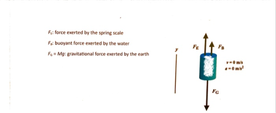 F: force exerted by the spring scale Fa: buoyant force exerted by the water FB FE Mg: gravitational force exerted by the eart