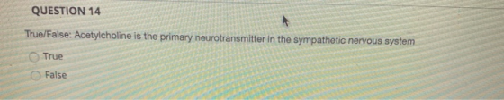 QUESTION 14 True/False: Acetylcholine is the primary neurotransmitter in the sympathetic nervous system True False