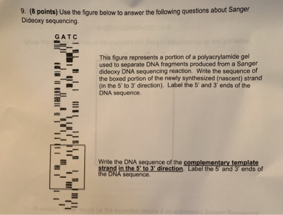 9. (8 points) Use the figure below to answer the following questions about Sanger Dideoxy sequencing. GATC 11.1 This figure r