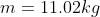 m=11.02 kg