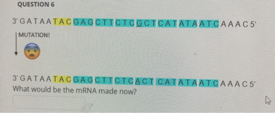 QUESTION 6 3 GATAATACGAGCTICICGCTCATATAATCAAA C 5% MUTATION! 3GATAATAC GAGCTICICACI CATATAATCAAA C 5 What would be the mRN