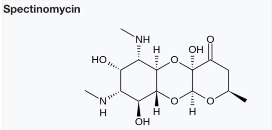 Spectinomycin NH E H HO OH OH