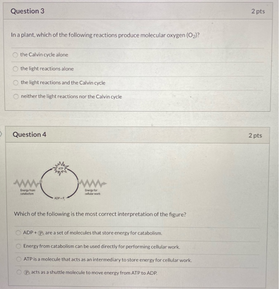 Question 3 2 pts In a plant, which of the following reactions produce molecular oxygen (O2)? the Calvin cycle alone the light