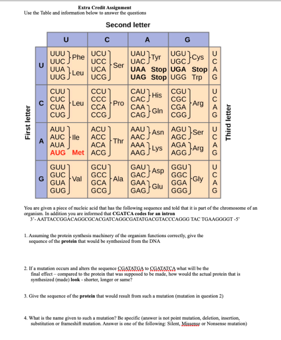 Extra Credit Assignment Use the Table and information below to answer the questions Second letter U C A UCA UUG/Leu บบบโphe U