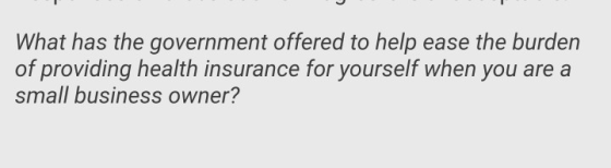 What has the government offered to help ease the burden of providing health insurance for yourself when you are a small busin