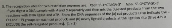 5. The recognition sites for two restriction enzymes are: Xbal: 5-T^CTAGA-3 Nhel: 5-G^CTAGC-3 If you digest a DNA sample w