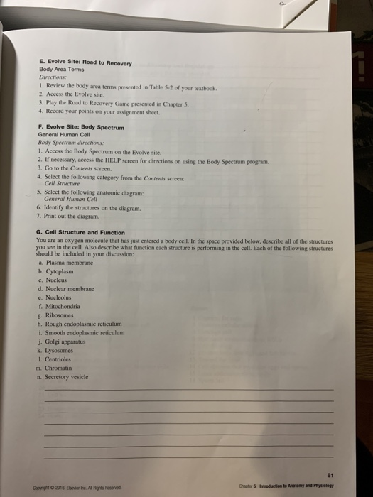 E. Evolve Sites Road to Recovery Body Area Terms Dicas 1. Review the body wrea terms presented in Table 5-2 of your textbook.
