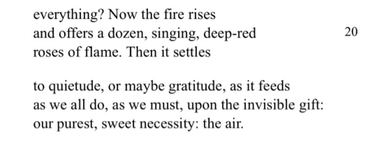 everything? Now the fire rises and offers a dozen, singing, deep-red roses of flame. Then it settles to quietude, or maybe gr