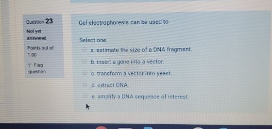 Question 23 Gel electrophoresis can be used to Not yet answered Points out of 1.00 Select one: a. estimate the size of a DNA