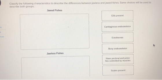 Classify the following characteristics to describe the differences between jawless and jawed fishes. Some choices will be use