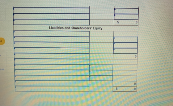 $ 0 Liabilities and Shareholders Equity d 0 ces 0 0