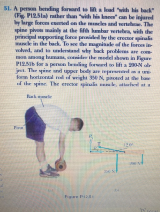 51. A person bending forward to lift a load with his back (Fig. P12.51a) rather than with his knees can be injured by larg