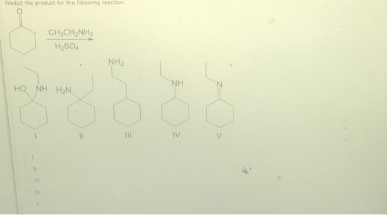 Predict the product for the following reaction. CH3CH2NH2 H2SO4 CH-CH2NH2 ΝΗ, HO NH HẠN