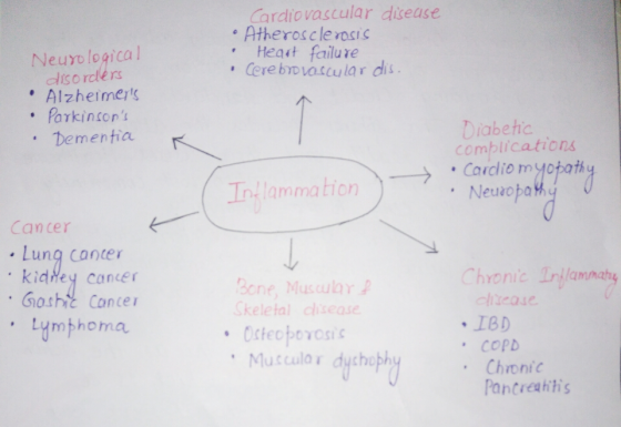 Cardiovascular disease Atheroscle rosis Neurological lisordlers Alzheime兆 . forkinscr. . Heast failure Cere brD vascular