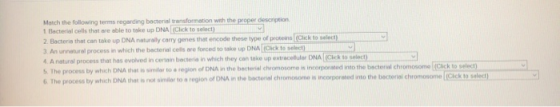 Match the following terms regarding bacterial transformation with the proper description 1 Bacterial cells that are able to t