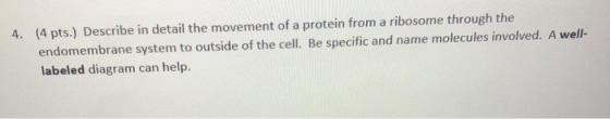 4. (4 pts.) Describe in detail the movement of a protein from a ribosome through the endomembrane system to outside of the ce