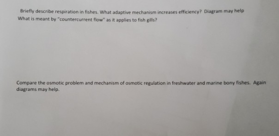 Briefly describe respiration in fishes. What adaptive mechanism increases efficiency? Diagram may help What is meant by coun