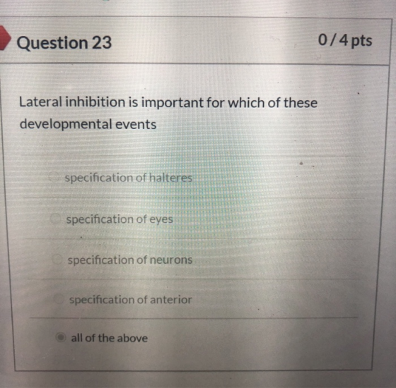 Question 23 0/4 pts Lateral inhibition is important for which of these developmental events specification of halteres specifi