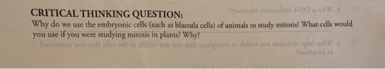CRITICAL THINKING QUESTION: Sy22000 nos quand i ydd Why do we use the embryonic cells (such as blastula cells) of animals to