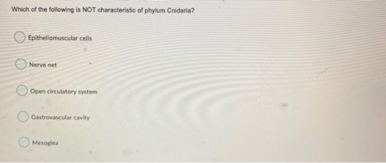 Which of the following is NOT characteristic of phylum Cnidaria? Epitheliomuscular cells Nerve net Open circulatory system Ga
