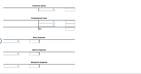 Common Stock Professional Fees Bal. Rent Expense Salary Expense Blueprint Expense