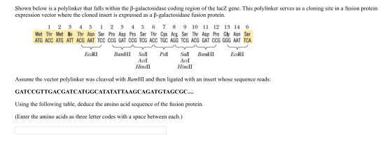 Shown below is a polylinker that falls within the B-galactosidase coding region of the lacZ gene. This polylinker serves as a