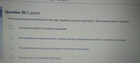 Question 30 (1 point) The enzyme phosphofructokinase is the major regulatory enzyme of glycolysis. What reaction does it cata
