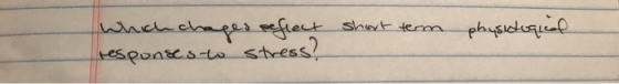 which chages reflect responses to stress? short term physidoque