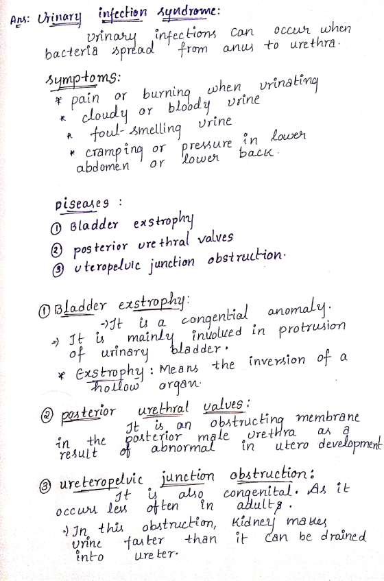 ha Ans: Urinary infection syndrome: urinary infections can occur when bacteria spread from anus to urethra. symptoms: * pain