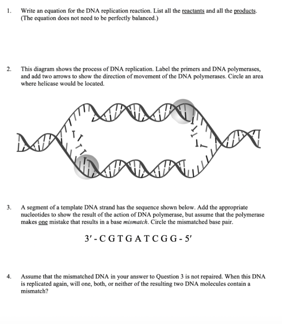 1. Write an equation for the DNA replication reaction. List all the reactants and all the products. (The equation does not ne