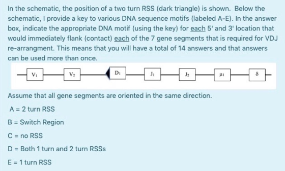 In the schematic, the position of a two turn RSS (dark triangle) is shown. Below the schematic, I provide a key to various DN