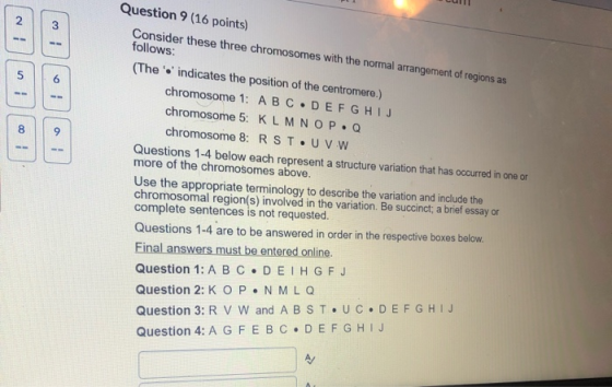 2 3 5 6 Question 9 (16 points) Consider these three chromosomes with the normal arrangement of regions as follows: (Thes ind