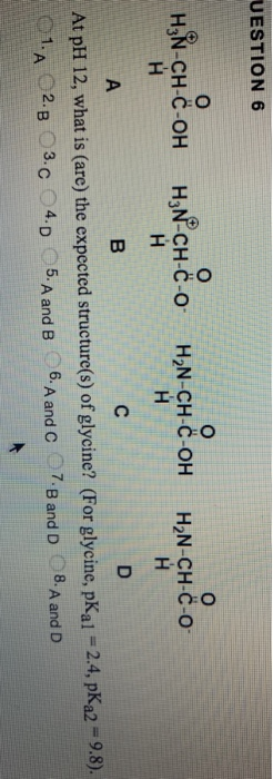 UESTION 6 At płH 12, what is (are) the expected structurefs) of glycine? (For glycine, pKal -2.4,pKa2-9.8). 01.А Ог. в Оз, со 4-D 5. A and B 6. A and C-7. B and D C8.Aand D