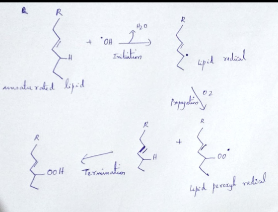 H20 adial Itia 02 R + 00 Teminakin yed prayl radsal