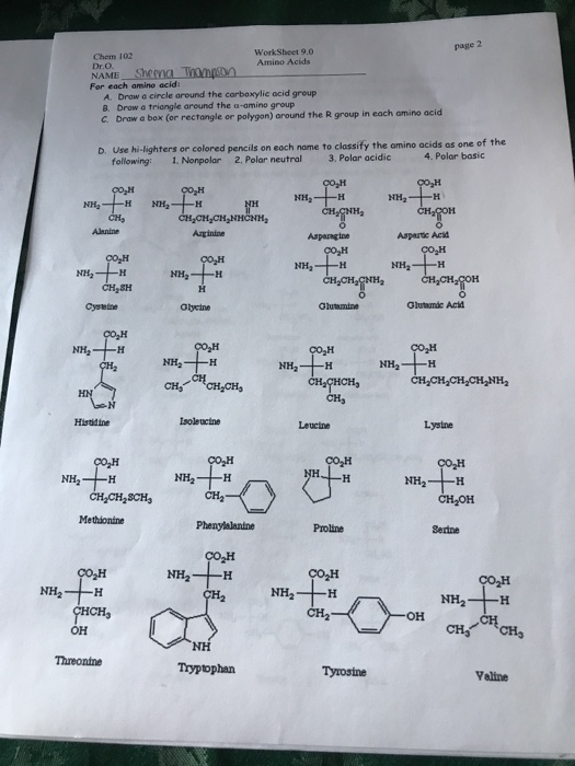page 2 Chem 102 Work Shot 9.0 Dr.O. Amino Acids NAME_Sheena Thompson For each amino acid: A. Draw a circle around the carboxy