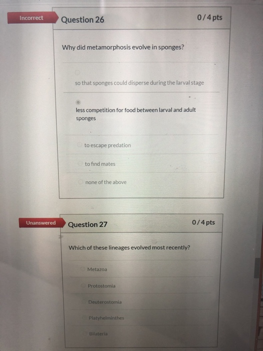 Incorrect Question 26 0/4 pts Why did metamorphosis evolve in sponges? so that sponges could disperse during the larval stage