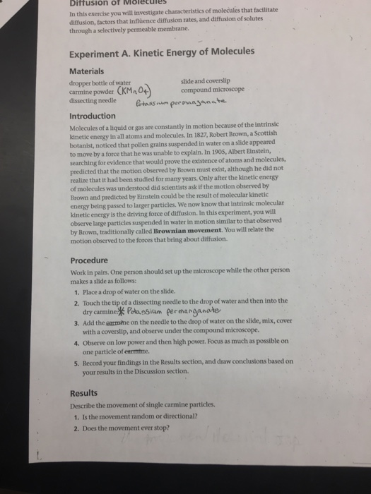 Dittusion of Molecules In this exercise you will investigate characteristics of molecules that facilitate diffusion, factors