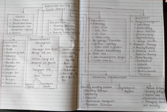 ADENOCARCINOMA TREATHENT 2 Tobacco Smoke e Second hand Smoke DIAGINOSLS → Radeleg님 PREVENTION kobectom eBilo becto PET Scan MRI Scan Genetics Genet CT Scan SYNPTON s Cascine cytole FNAC undas CT guiane binds COMP em tes Aadiaton thesapy bea Neus Blood test Chest Pen Cellulas changt and eto Demonubicio abnpannal celt isplatin e casboplatn Compli cato nt lls werght less Blockage URSINCh MANAGENENT eieving breathing px holestced tac oRastosative achy and anmeet