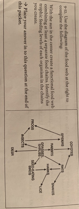 COYOTES 9-12. Use the diagram of the food web at the right to complete the following: SPIDERS RATS RABBITS SNAKES HAWKS With