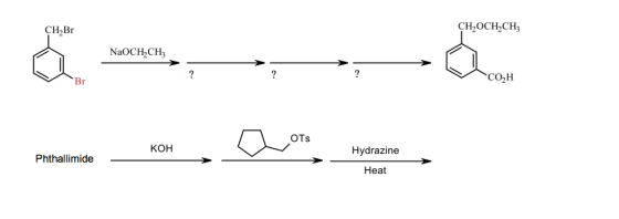 CH2OCH2CH3 CH2Br NaOCH CH CO2H Br OTs KOH Hydrazine Phthallimide Heat