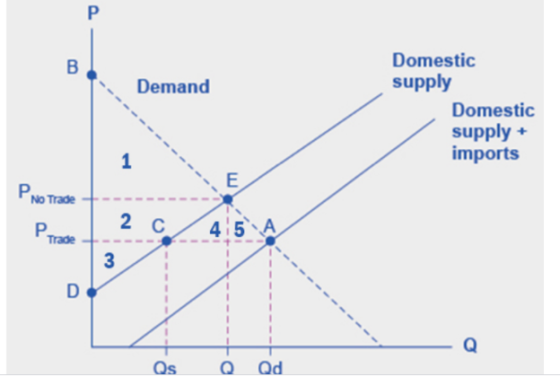 P B Demand Domestic supply Domestic supply + imports 1 E P No Trade P trade 2 C/ 4 5 A 3 D Q Qs Q Qd