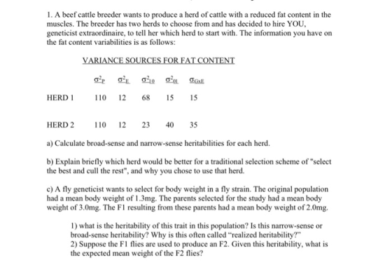 1. A beef cattle breeder wants to produce a herd of cattle with a reduced fat content in the muscles. The breeder has two her
