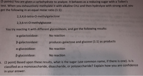 15 points) You are given a carbohydrate to analyze. It behaves as a reducing sugar with a Tollens test. When you exhaustivel
