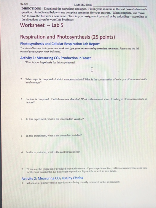 NAME -LAB SECTION DIRECTIONS: Download the worksheet and open. Fill in your answers in the text boxes below each question. As